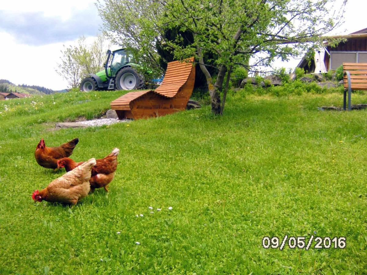 Appartamento Ferienbauernhof Koepf Füssen Esterno foto